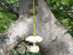 281504_10150265621249901_7462183_n